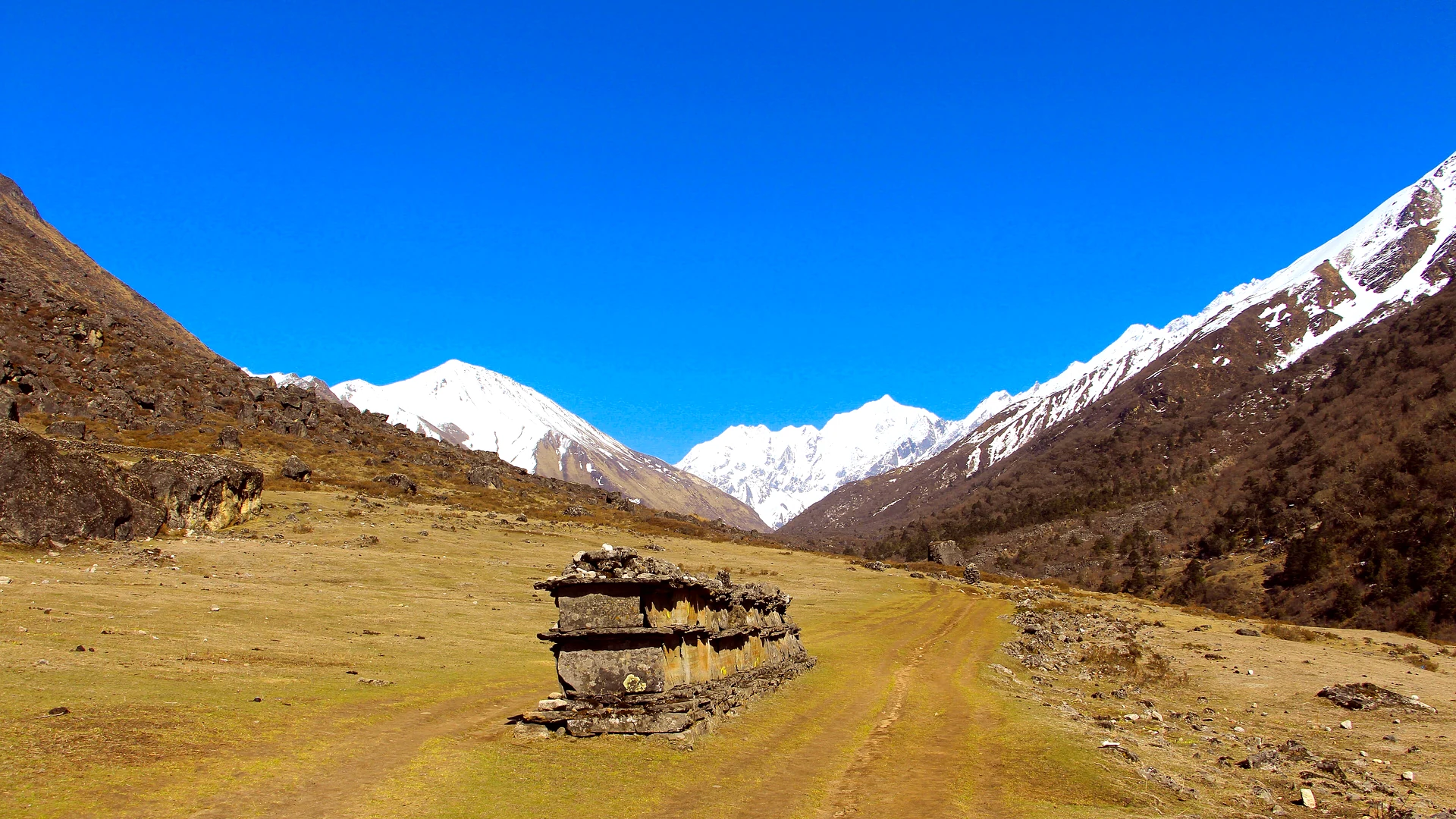 Langtang Valley Trek